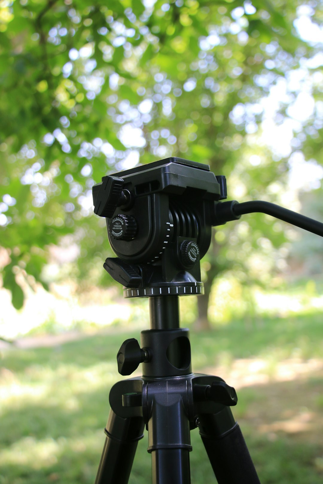 camera on tripod outdoor